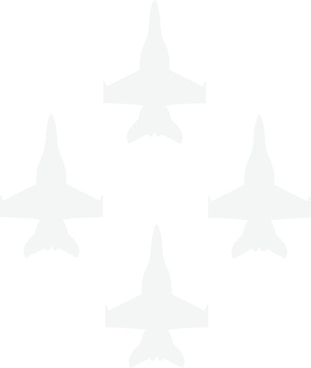 White Planes Updated Wings